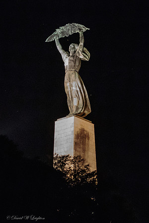 Liberty Statue - Szabadság szobor - lit up at night