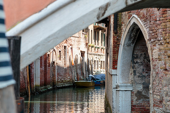 The Streets of Venice