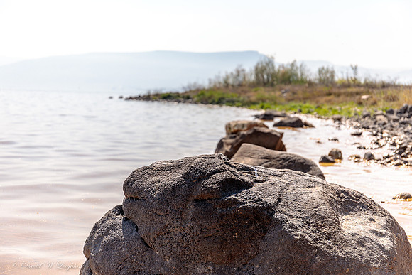 Rocks on the Foreshore