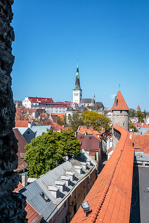 View from the wall
