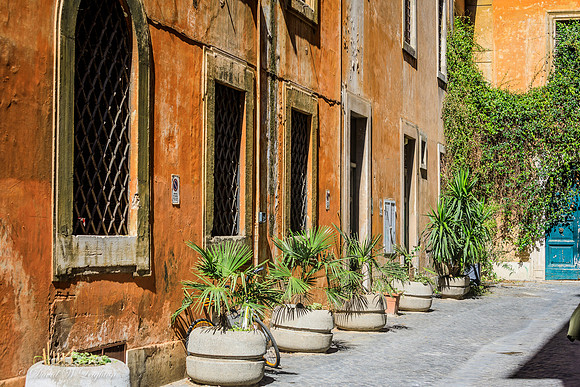 Rome Street Shot