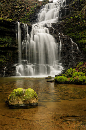 Scaleber Force