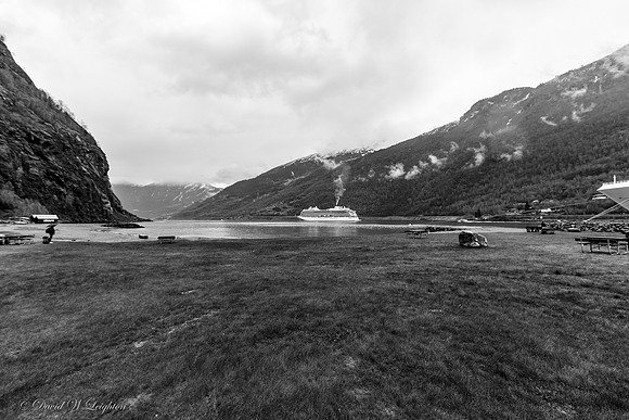 Viking Star